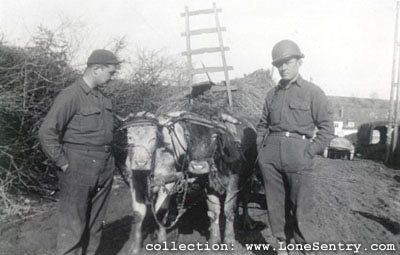 [11th Armored Division Belgium: Oscar & The Kid. Neuendorf, Belgium. Feb. 1945.]