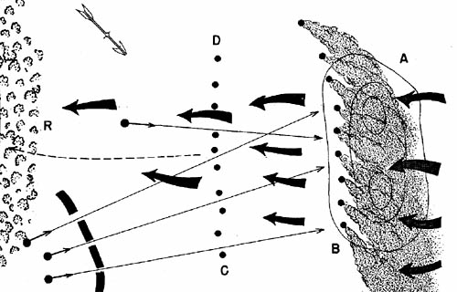 [Rear guard, concealed by released smoke, withdrawing from the heights A-B. Smoke is prepared to be released on line C-D. R is the rearward or assembly position.]